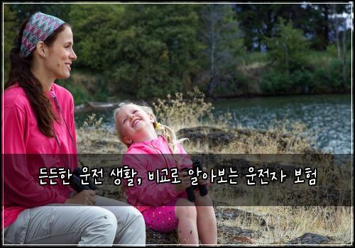  든든한 운전 생활, 비교로 알아보는 운전자 보험