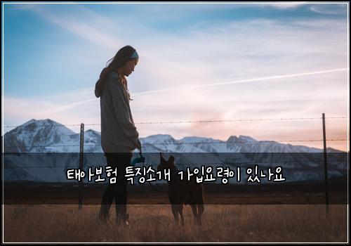 태아보험 특징소개  가입요령이 있나요