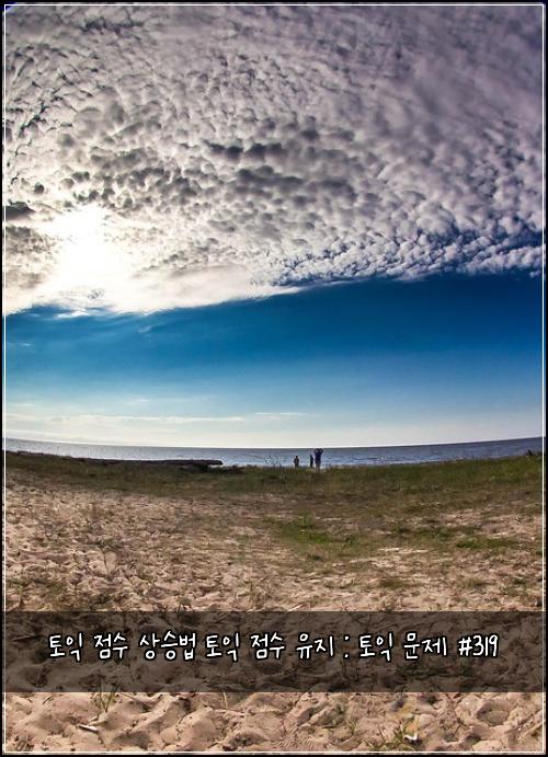 토익 점수 상승법 토익 점수 유지 : 토익 문제 #319