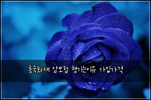 흥국화재 암보험 챙기는이유  가입가격