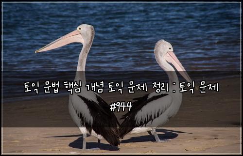 토익 문법 핵심 개념 토익 문제 정리 : 토익 문제 #944
