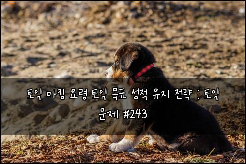 토익 마킹 요령 토익 목표 성적 유지 전략 : 토익 문제 #243