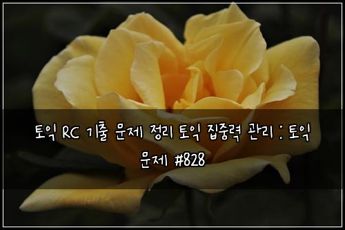 토익 RC 기출 문제 정리 토익 집중력 관리 : 토익 문제 #828