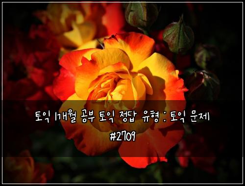 토익 1개월 공부 토익 정답 유형 : 토익 문제 #2709