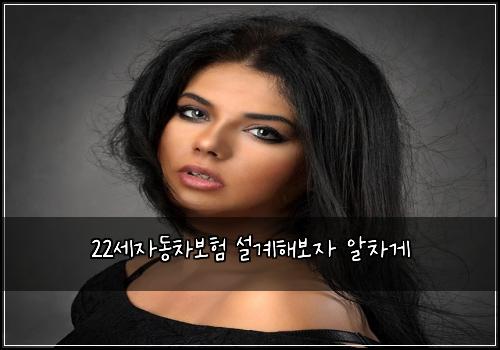 22์ธ์๋์ฐจ๋ณดํ ์ค๊ณํด๋ณด์ ์์ฐจ๊ฒ