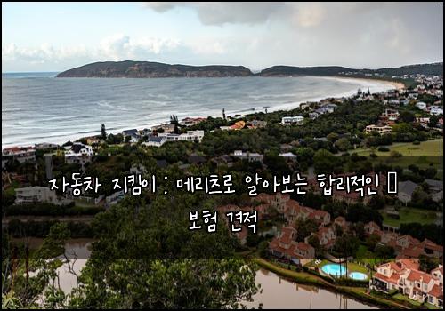자동차 지킴이 : 메리츠로 알아보는 합리적인 車 보험 견적