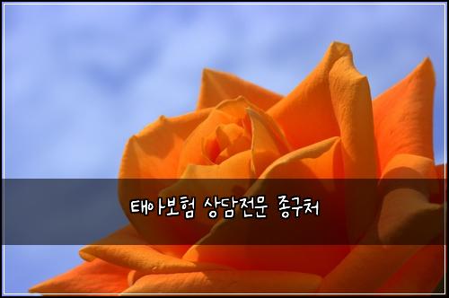 ํ์๋ณดํ ์๋ด์ ๋ฌธ ์ข
๊ตฌ์ฒ