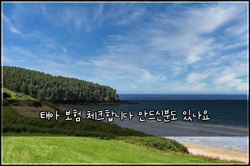 태아 보험 체크합니다  안드신분도 있나요