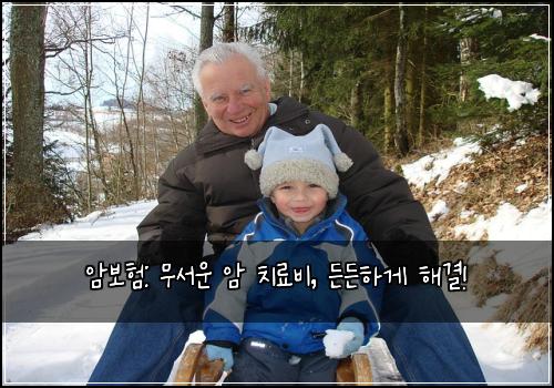 암보험: 무서운 암 치료비, 든든하게 해결!