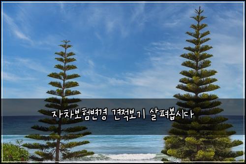 자차보험변경 견적보기 살펴봅시다