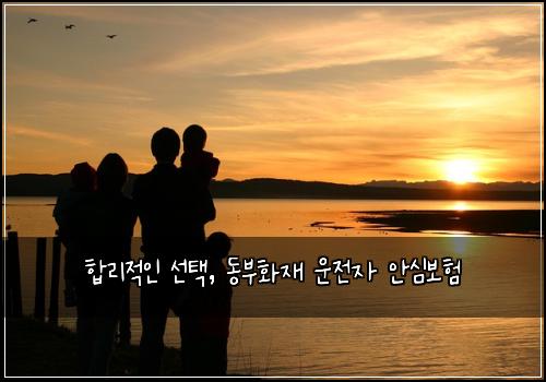  합리적인 선택, 동부화재 운전자 안심보험
