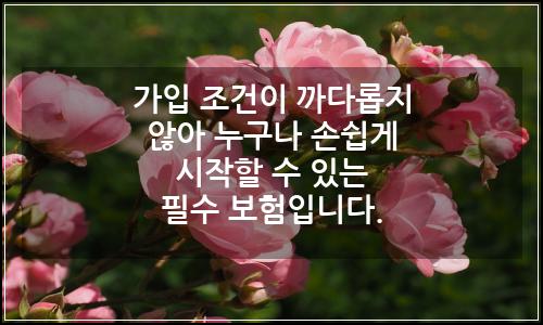 오늘의 이미지