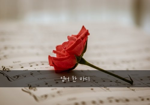 영어 한 마디
