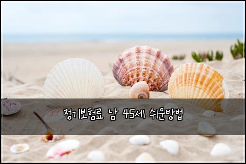 ์ ๊ธฐ๋ณดํ๋ฃ ๋จ 45์ธ ์ฌ์ด๋ฐฉ๋ฒ