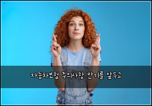 ์๋์ฐจ๋ณดํ ์ฃผ์์ฌํญ ๋ง๊ธฐ๋ฅผ ์๋๊ณ
