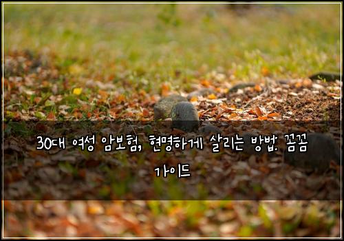  30대 여성 암보험, 현명하게 살리는 방법: 꼼꼼 가이드
