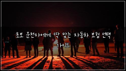 초보 운전자에게 딱 맞는 자동차 보험 선택 가이드