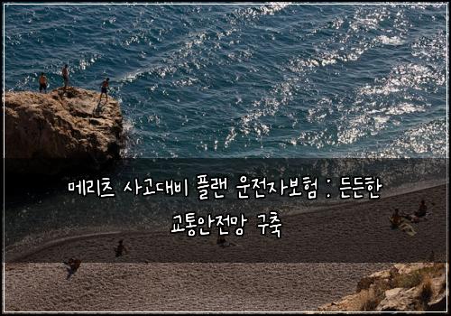 메리츠 사고대비 플랜 운전자보험 : 든든한 교통안전망 구축