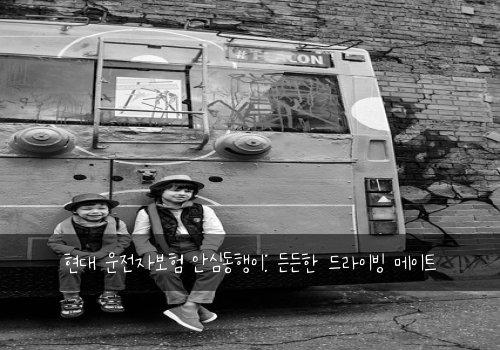 현대 운전자보험 안심동행이: 든든한 드라이빙 메이트