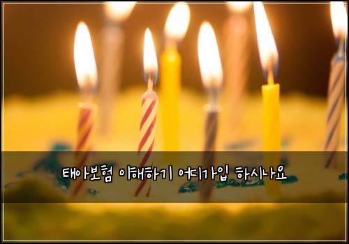 태아보험 이해하기  어디가입 하시나요