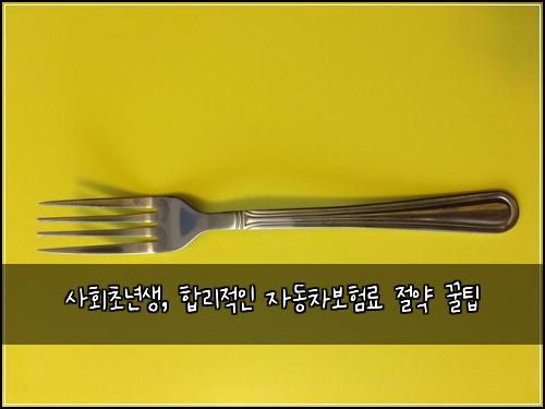  사회초년생, 합리적인 자동차보험료 절약 꿀팁