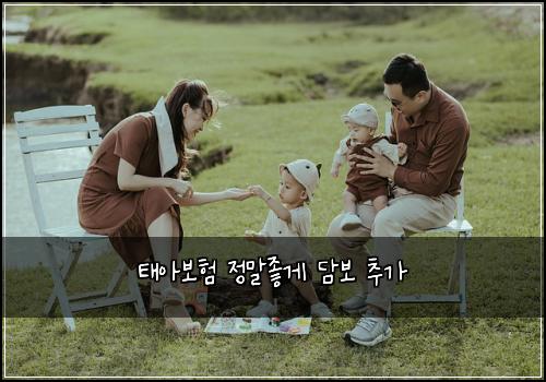 ํ์๋ณดํ ์ ๋ง์ข๊ฒ ๋ด๋ณด ์ถ๊ฐ