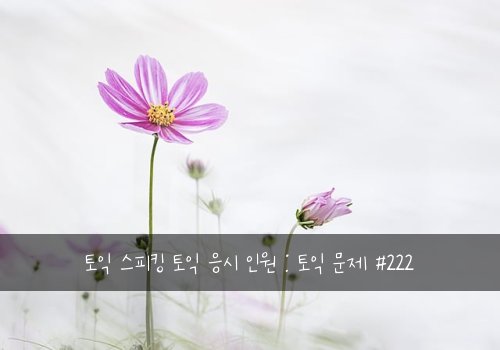 토익 스피킹 토익 응시 인원 : 토익 문제 #222