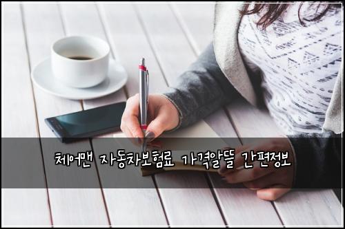 ์ฒด์ด๋งจ ์๋์ฐจ๋ณดํ๋ฃ ๊ฐ๊ฒฉ์๋ฐ ๊ฐํธ์ ๋ณด
