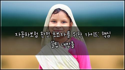  자동차보험 완전 초보자를 위한 가이드: 핵심 꿀팁 대방출