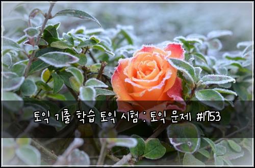 토익 기출 학습 토익 시험 : 토익 문제 #1753