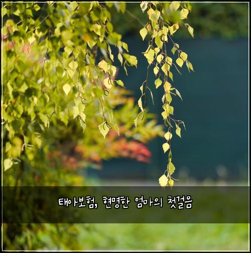 태아보험, 현명한 엄마의 첫걸음
