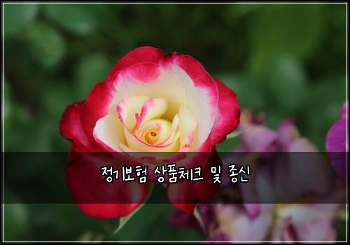 ์ ๊ธฐ๋ณดํ ์ํ์ฒดํฌ ๋ฐ ์ข
์
