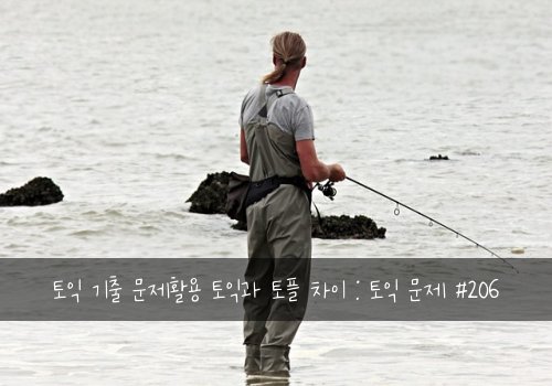 토익 기출 문제활용 토익과 토플 차이 : 토익 문제 #206