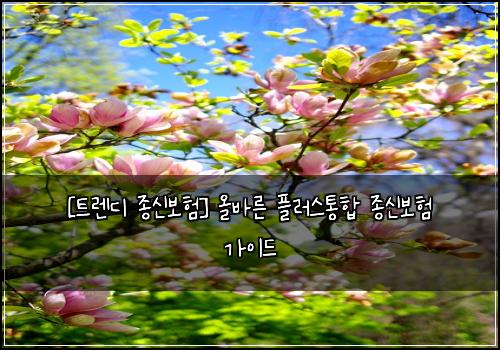  [트렌디 종신보험] 올바른 플러스통합 종신보험 가이드