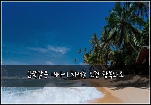 ๊ธ์ชฝ๊ฐ์ ๋ด์์ด ์ง์ผ์ค ๋ณดํ ํญ๋ชฉ๋ด์