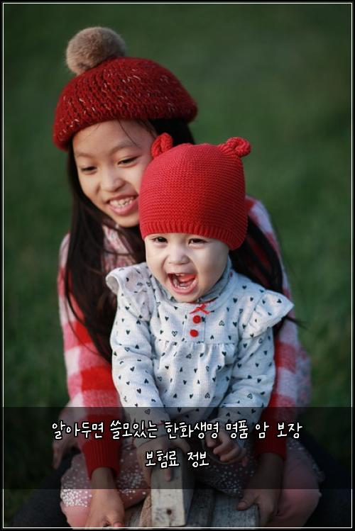  알아두면 쓸모있는 한화생명 명품 암 보장 보험료 정보