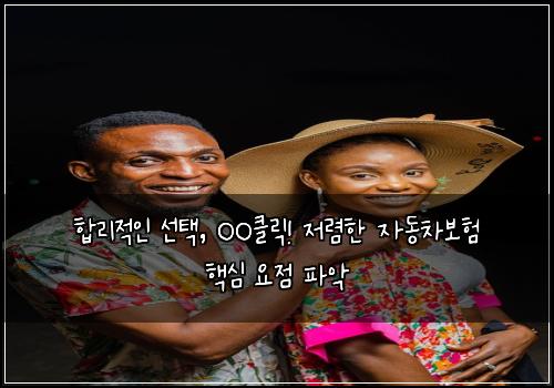  합리적인 선택, OO클릭! 저렴한 자동차보험 핵심 요점 파악