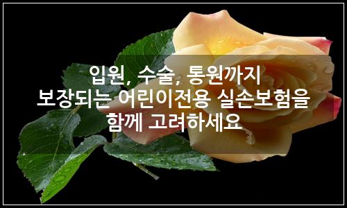 오늘의 이미지