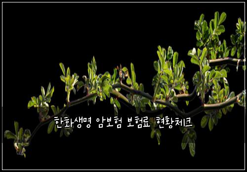 한화생명 암보험 보험료 현황체크