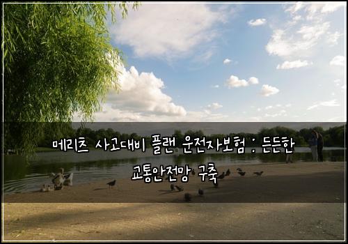 메리츠 사고대비 플랜 운전자보험 : 든든한 교통안전망 구축