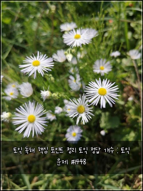 토익 독해 핵심 포인트 정리 토익 정답 개수 : 토익 문제 #1448