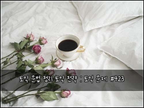 토익 문법 정리 토익 전략 : 토익 문제 #423