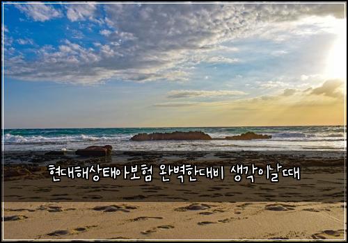 ํ๋ํด์ํ์๋ณดํ ์๋ฒฝํ๋๋น ์๊ฐ์ด๋ ๋