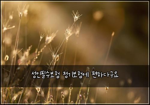 ์ฑ์ธํ์๋ณดํ ์ ๊ธฐ๋ณดํ์ ํธํ๋ค๊ตฌ์