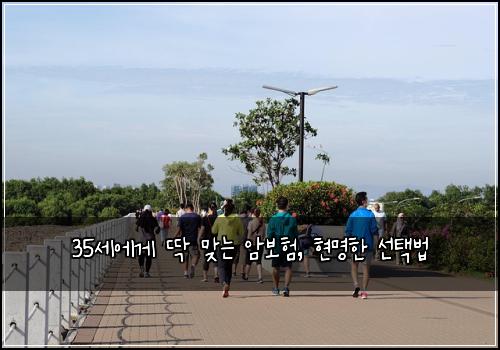 35세에게 딱 맞는 암보험, 현명한 선택법