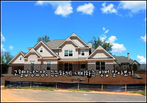 고혈압당뇨암, 든든하게 대비하는 방법 알아보기