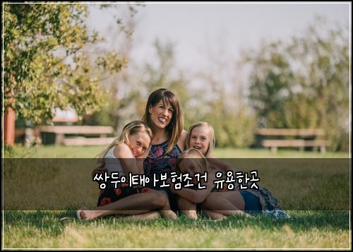 쌍두이태아보험조건 유용한곳