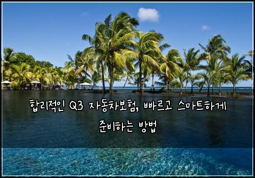  합리적인 Q3 자동차보험, 빠르고 스마트하게 준비하는 방법