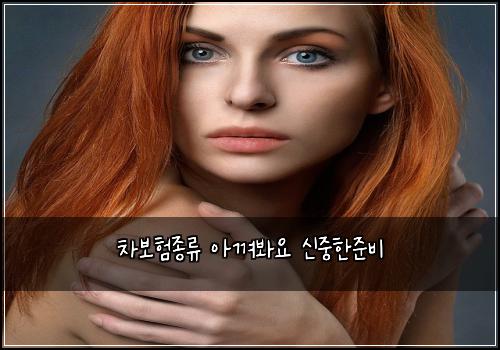 ์ฐจ๋ณดํ์ข
๋ฅ ์๊ปด๋ด์ ์ ์คํ์ค๋น