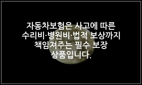오늘의 이미지